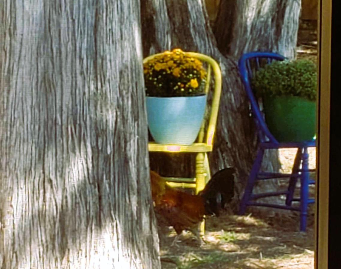 Midtown Southern Charm Tyler Zewnętrze zdjęcie